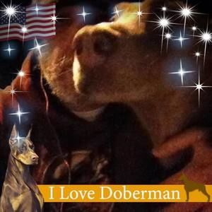 Meet your Posher, Rodney